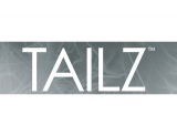 Tailz Logo Grey 390 x 300